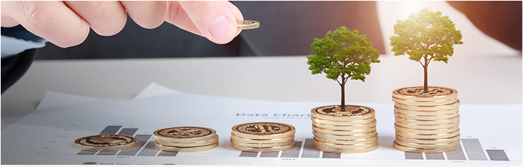 外汇资金